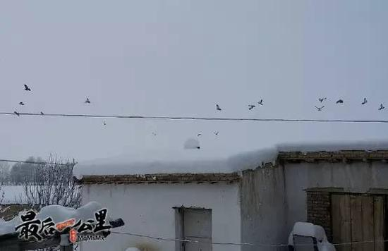 （阿勒泰地区档案局住阿勒泰市切木尔切克镇洪吾尔托呼特村　姚虹莉）
