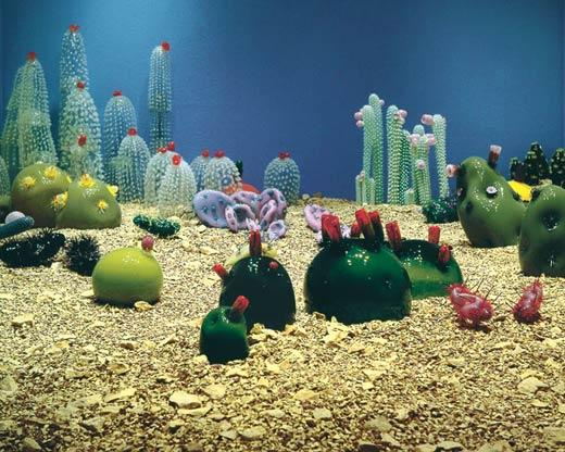 福楼·品克斯的“植物”