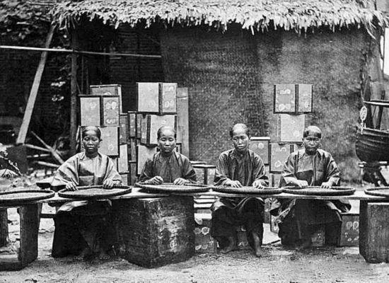  　　 广州分拣茶叶的女性