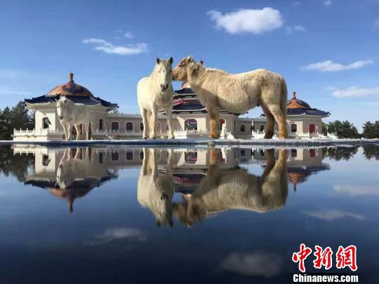 &nbsp;&nbsp;&nbsp;&nbsp;成吉思汗陵。　金宝　摄