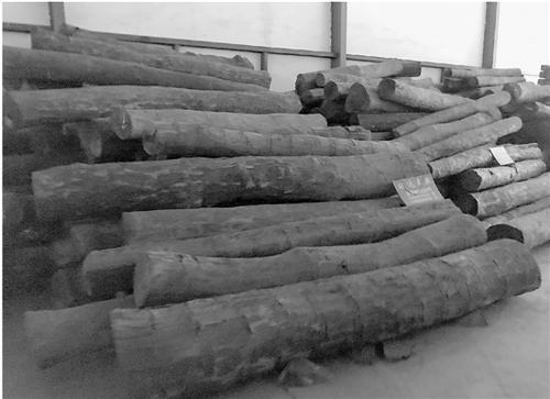 　　东阳一些商家囤售的血檀木。