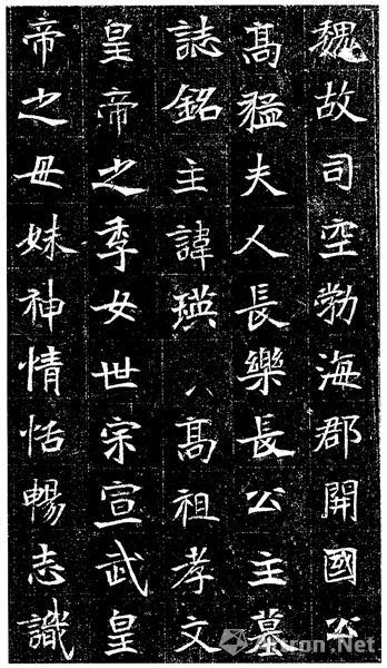 《元瑛墓志》（局部）