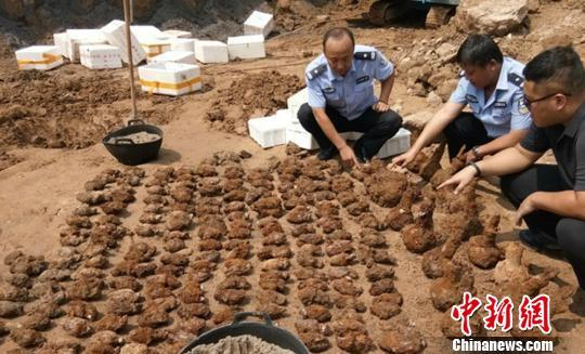 &nbsp;&nbsp;&nbsp;&nbsp;挖出的弹药。 警方供图
