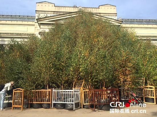 蔡国强十月革命主题作品《秋天》