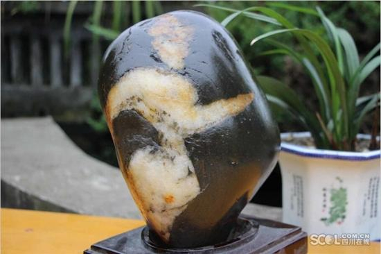 偶得《白石画虾》他狂补艺术短板