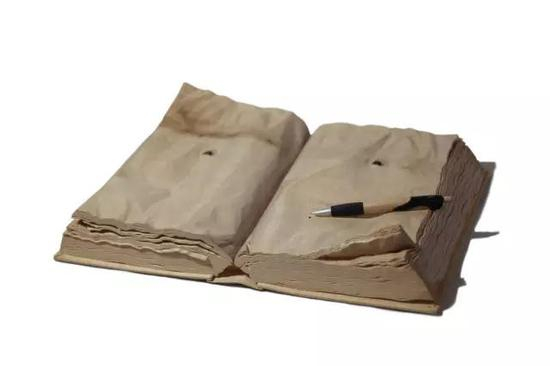 《记录者》 46×37×9cm 木、玻璃 2012年