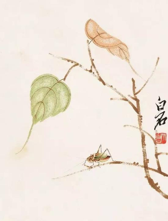 贝叶草虫