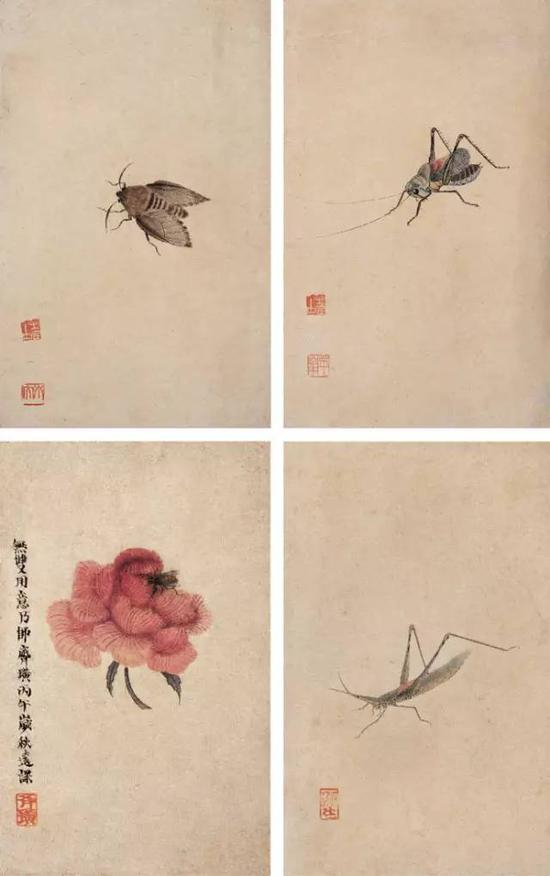 工笔草虫