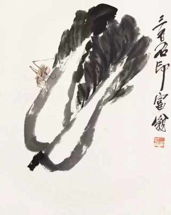 白菜草虫