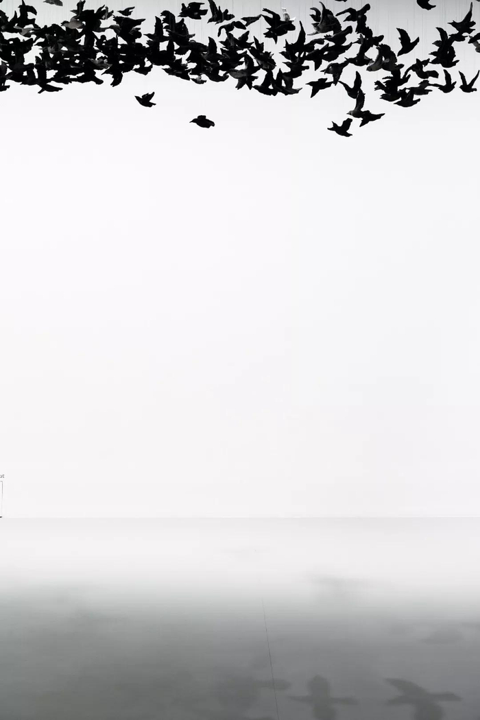 《鸟云》装置，2019，维多利亚州国立美术馆 　　摄影：Tobias Titz