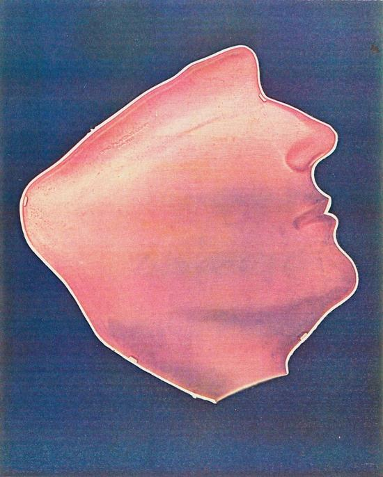 莱斯利。希夫1981年作品：配置文件中的男人