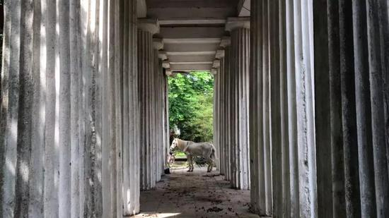 车建全作品 《平行世界》（&nbsp;Mondo parallelo）