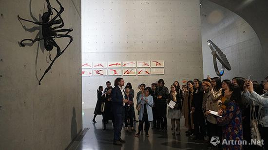 龙美术馆（西岸馆）路易丝·布尔乔亚首场中国大展“永恒的丝线”现场