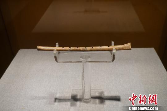 河南漯河发行《贾湖遗址》邮票_手机新浪网