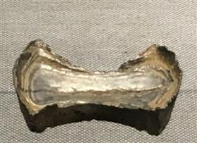 泉州出土的西方银元