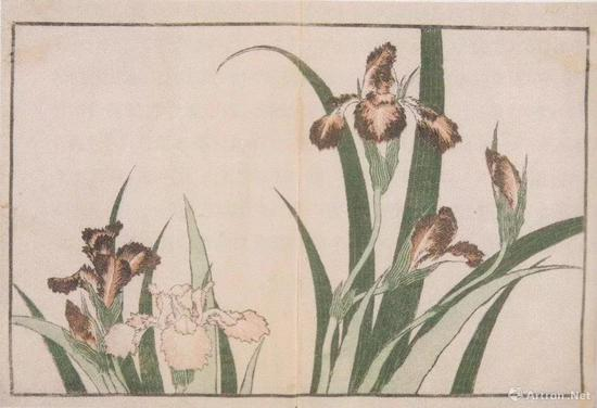 葛饰北斎“北斎写真画谱”、1814、墨摺、淡彩摺、22.7 x 17cm、クラクフ国立博物馆、p。 168
