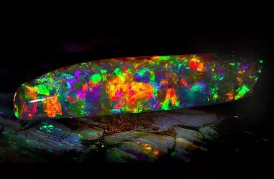 Virgin Rainbow黑欧泊，72.65克拉，拥有极为出色的变彩效应，几乎可以呈现光谱上的所有颜色。