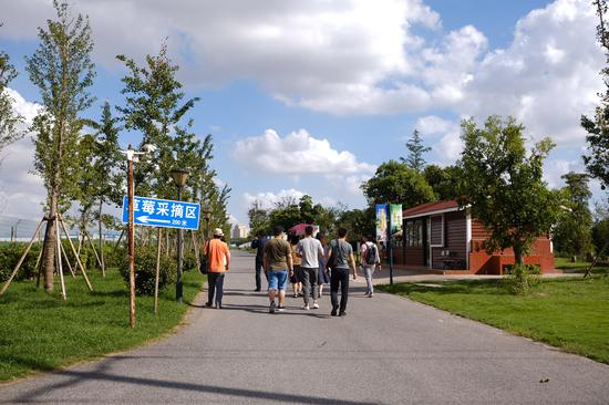 “边跑边艺术”艺术家团队在涵养林
