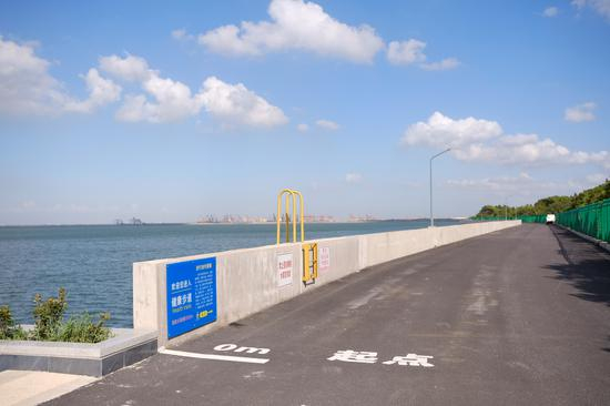 宝山罗泾水源涵养林健康步道
