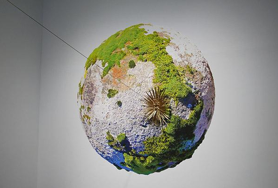 E`V.戴 E.V.Day 《苔藓球——冥想的概述效果》综合材料装置，2018年