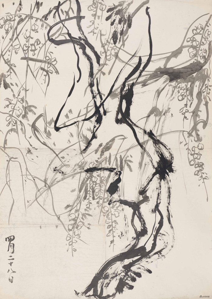紫藤 78x110cm 1992年 炭笔纸本
