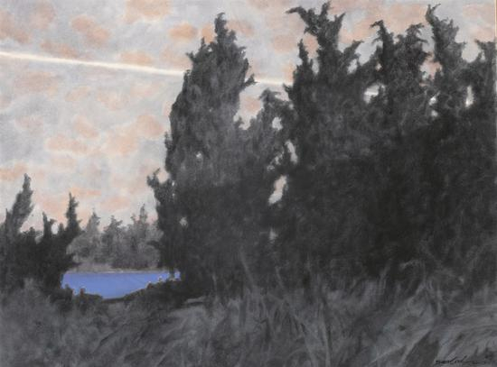 《巡--32》，纸上水彩，赵龙，56cm×76cm，2017 （1）