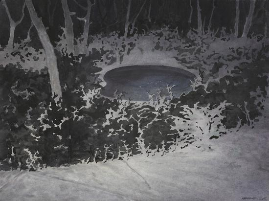 《巡--39》，纸上水彩，赵龙，56cm×76cm，2018
