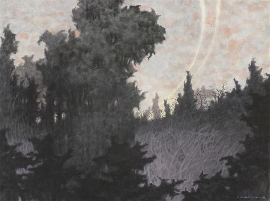 《巡--30》，纸上水彩，赵龙，56cm×76cm，2017