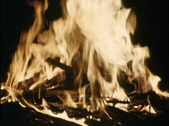 　　JAN DIBBETS简-戴比斯 《电视壁炉》，1969 16毫米彩色胶片转高清数码影像，声音，26分 LIMA 基金会 