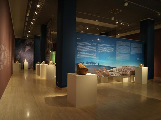 展览现场