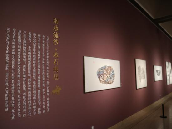 展览现场