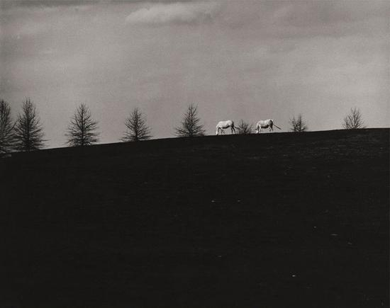 Hunt Vally。 Gelatin Silver Print