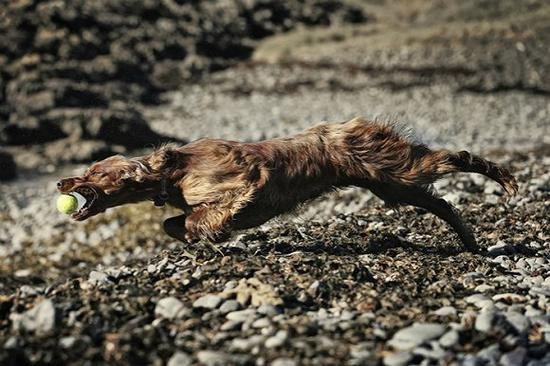 图片来源：Peter Izzard