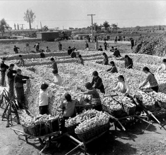 老照片八：70年代的中国农村
