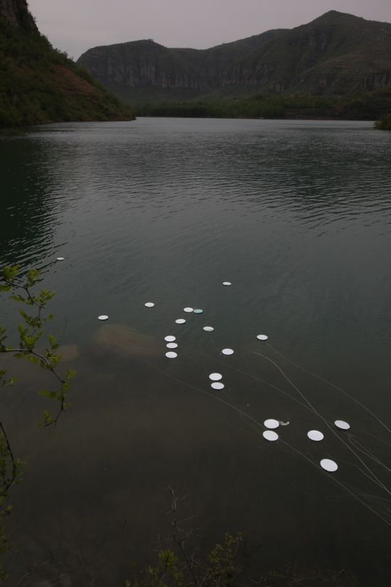 杨中伟作品《撒网》