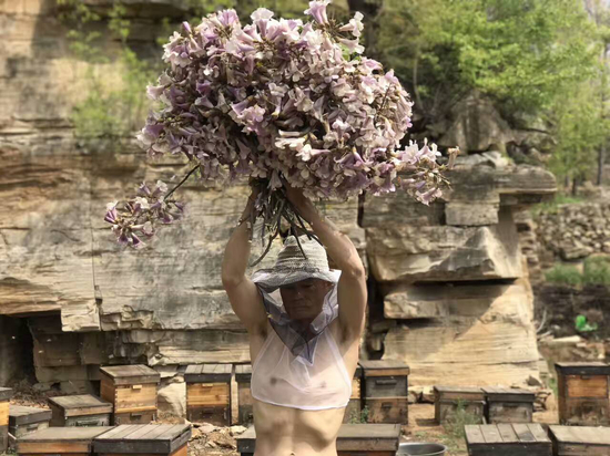 吴以强《给蜜蜂献花》