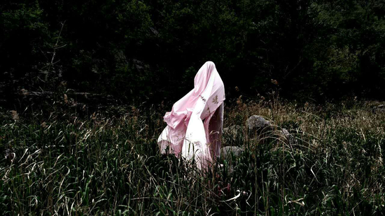 《粉先生》贺凤利作品