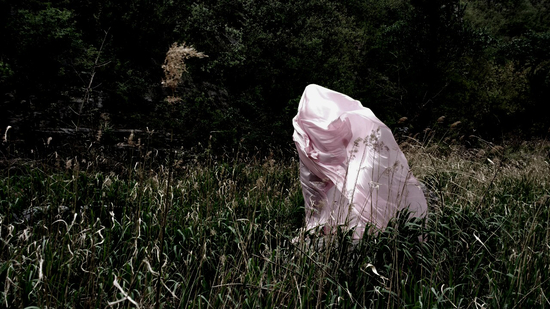 《粉先生》贺凤利作品