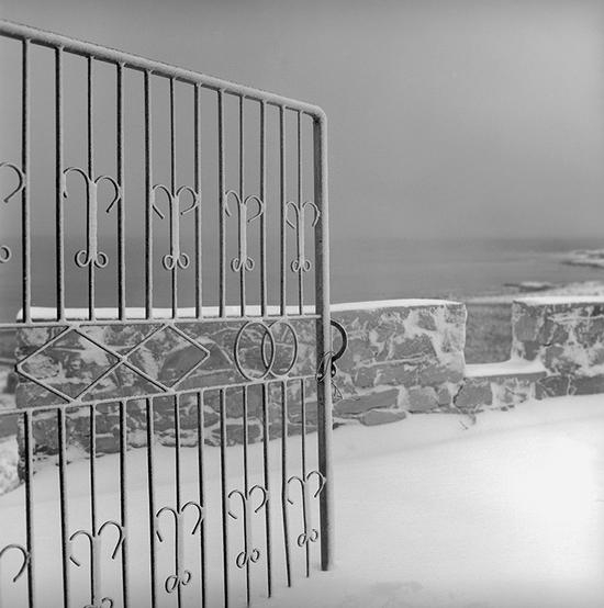 自然系列-2012年12月，山东 威海，20x20cm，铂钯工艺 （2）