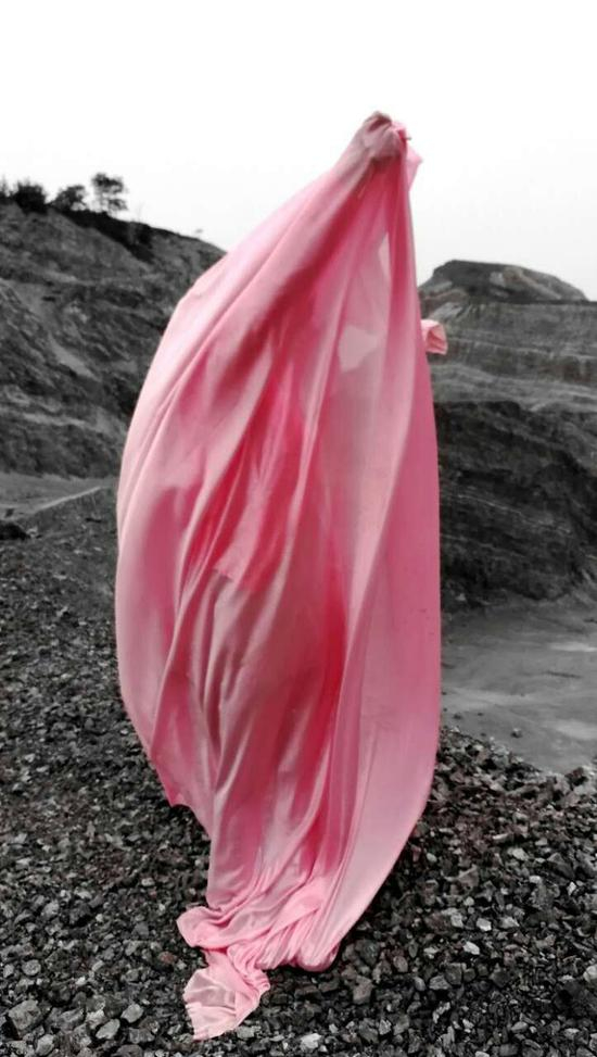 《粉红拳头》粉先生贺凤利作品