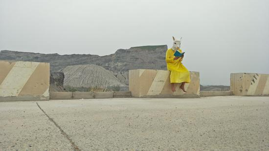 《爱马仕~读“中国大历史”》王轶琼作品