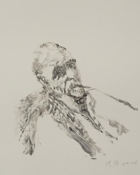 巴尔迪斯 2014 45x57cm