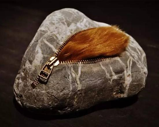 藏匿（Hiding Something）