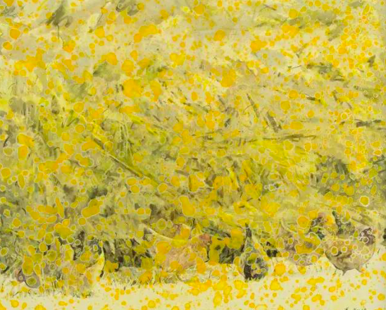 洒满阳光的日子之二 张翔得 2011