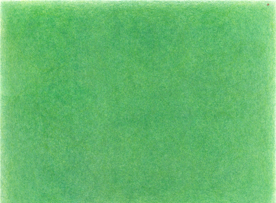 郑菁-《3.1059㎡草坪》-153×203cm-纸本签字笔-2017