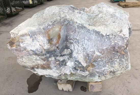 410kg 290，000（底标价）