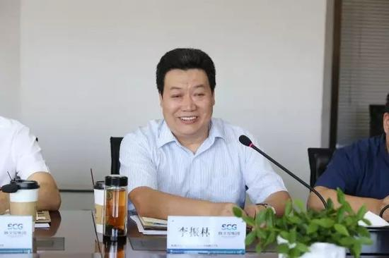 集团副总经理李振林作汇报