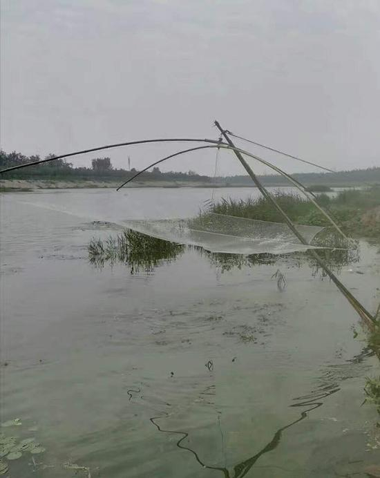《养画与网的述说》