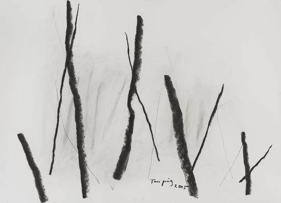 谭平《素描》78.7x109.2cm 2015