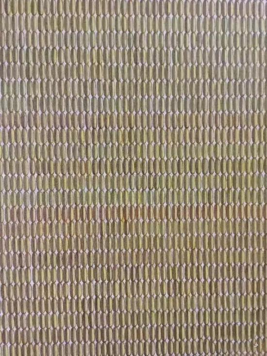 胶囊 200x150cm 布面油画